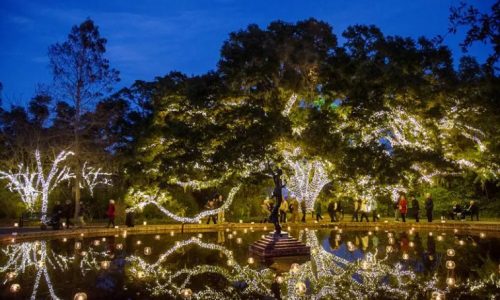Myrtle-Beach-Brookgreen-Gardens